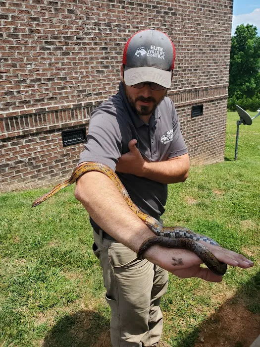 Elite Wildlife Control Picture 3