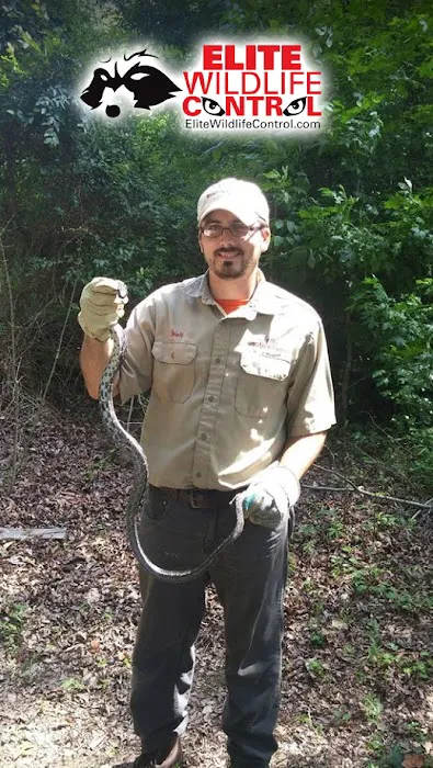 Elite Wildlife Control Picture 5