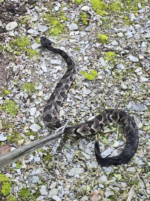 Top Flight Wildlife Picture 9