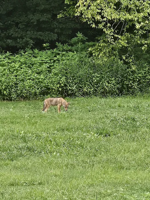 Top Flight Wildlife Picture 2