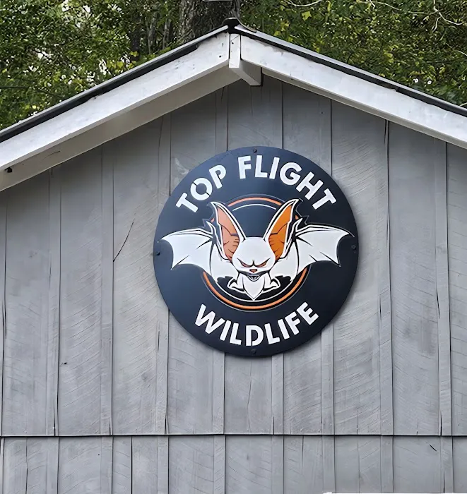 Top Flight Wildlife Picture 7