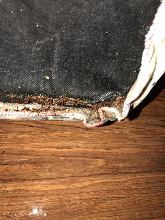 Cumberland Service Exterminators, INC Picture 5