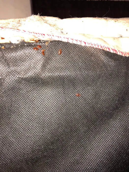 Cumberland Service Exterminators, INC Picture 1