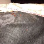 Cumberland Service Exterminators, INC