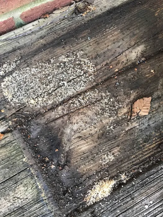 Cumberland Service Exterminators, INC Picture 2