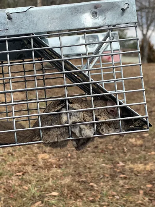 Cumberland Service Exterminators, INC Picture 10