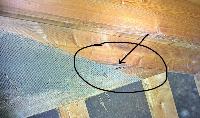 Cumberland Service Exterminators, INC Picture 6