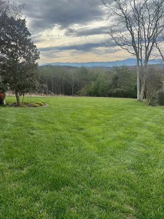 Lawn Doctor of West Knoxville Picture 9