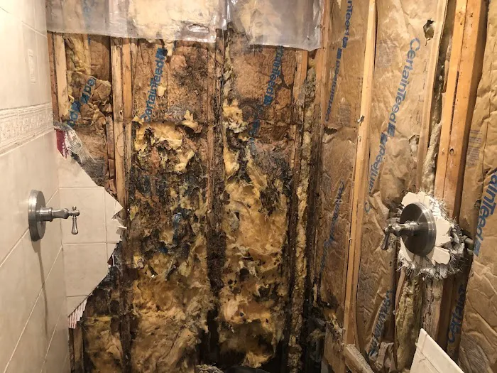 Cook's Pest Control Picture 4