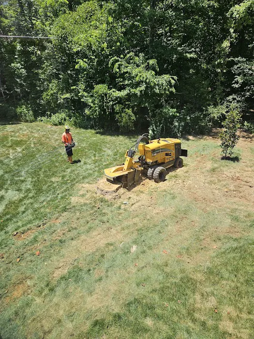 Dead End Exterminating, LLC Picture 7