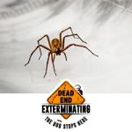 Dead End Exterminating, LLC