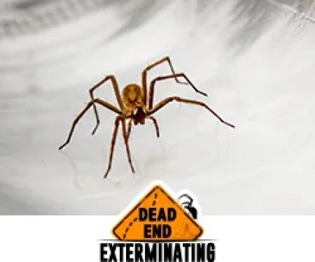 Dead End Exterminating, LLC