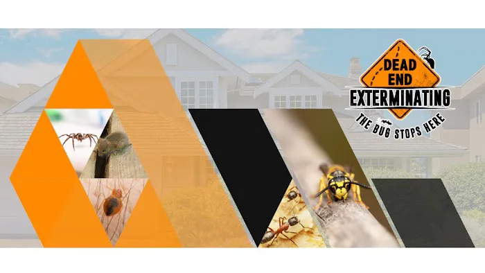 Dead End Exterminating, LLC Picture 8