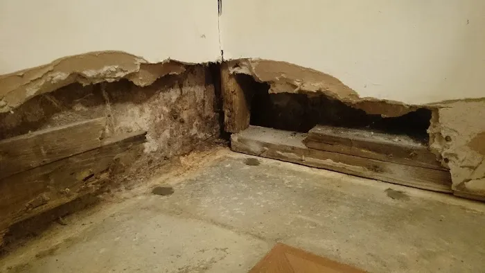 Green Mountain Termite & Pest Control Picture 8