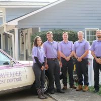 Lavender Pest Control ico
