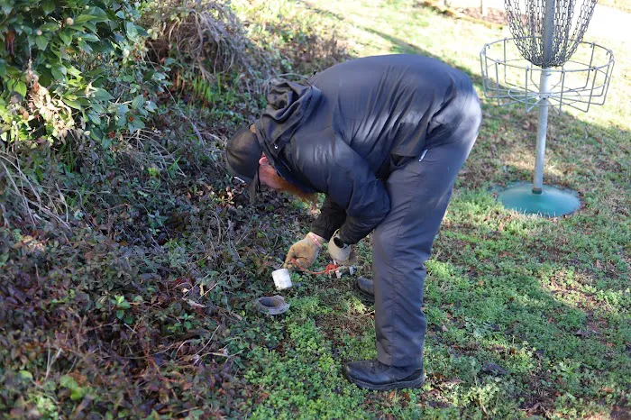 Lavender Pest Control Picture 4