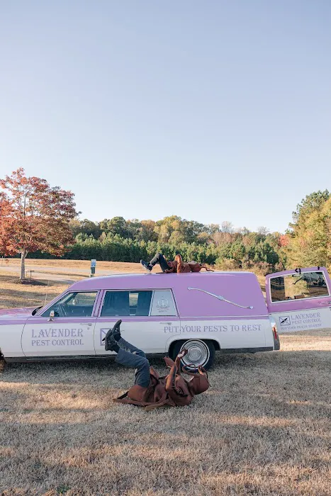 Lavender Pest Control Picture 7