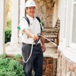 Lavender Pest Control
