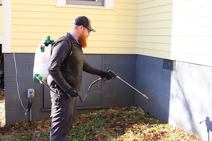 Lavender Pest Control Picture 3