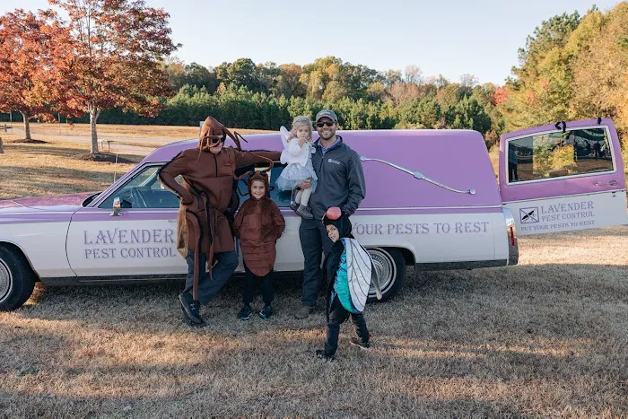Lavender Pest Control Picture 10