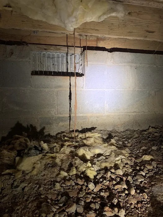 Andrews Termite and Pest Control Inc. Picture 5