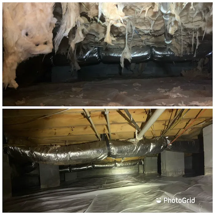 Andrews Termite and Pest Control Inc. Picture 6