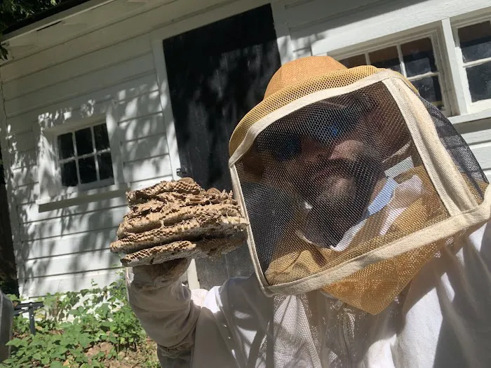 Andrews Termite and Pest Control Inc. Picture 2