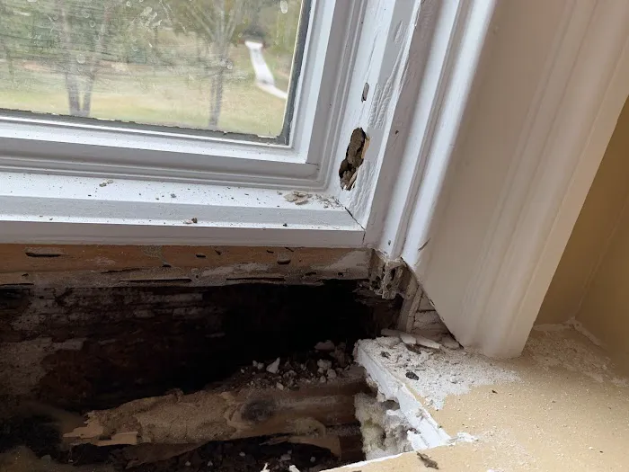 Andrews Termite and Pest Control Inc. Picture 10