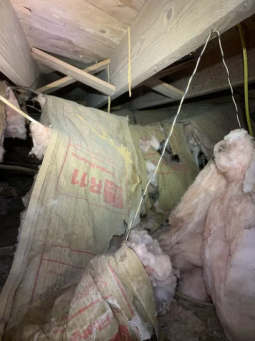 Andrews Termite and Pest Control Inc. Picture 8
