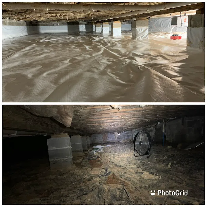 Andrews Termite and Pest Control Inc. Picture 3