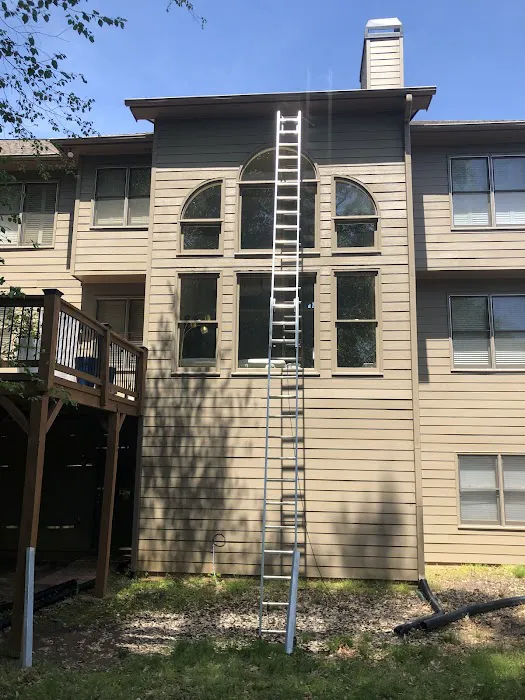 Southern Pro Pest and Wildlife LLC. Picture 6