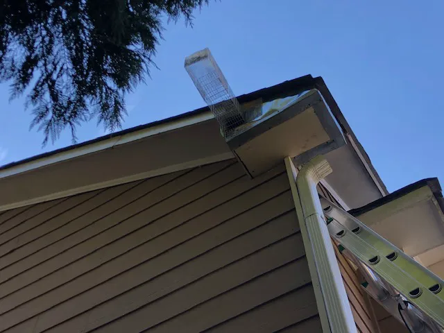 Southern Pro Pest and Wildlife LLC. Picture 9
