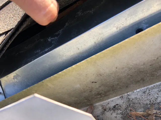 Southern Pro Pest and Wildlife LLC. Picture 4