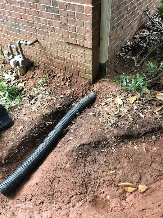 Vortex Waterproofing & Pest Solutions, LLC Picture 6