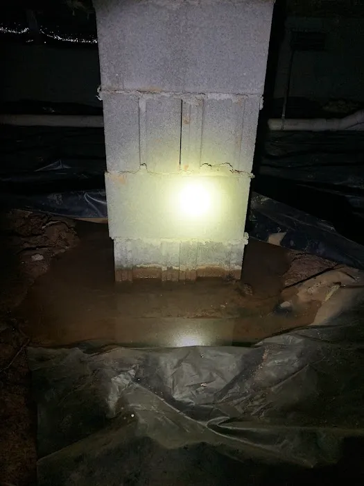Vortex Waterproofing & Pest Solutions, LLC Picture 3
