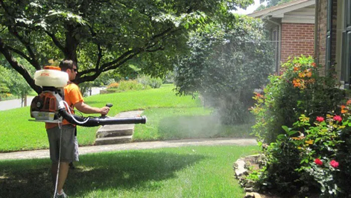 Gwinnett Pest Solutions Picture 1
