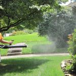Gwinnett Pest Solutions