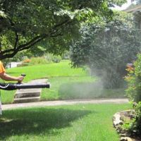 Gwinnett Pest Solutions ico