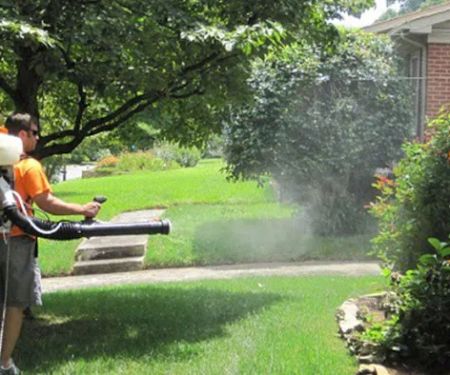 Gwinnett Pest Solutions