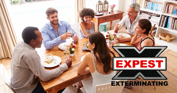 Expest Exterminating Pest Control Picture 4
