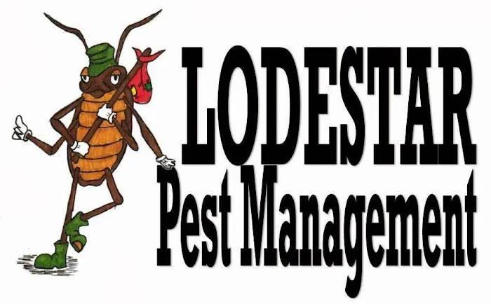 Lodestar Pest Management Picture 1