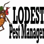 Lodestar Pest Management