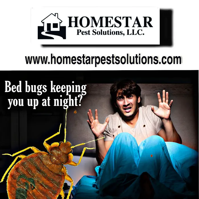 Homestar Pest Solutions Picture 6