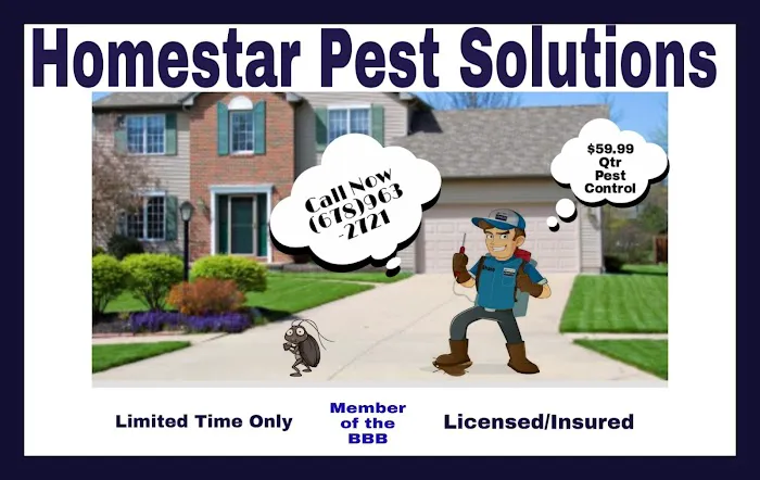 Homestar Pest Solutions Picture 1