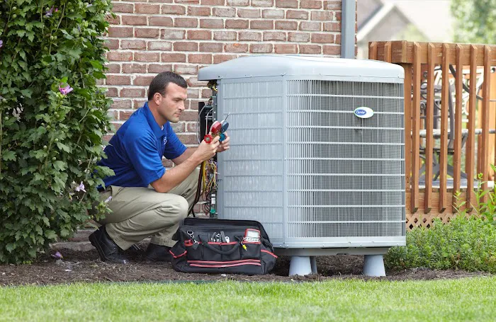 Zone Pest Solutions Picture 6