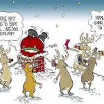 Contractor's Best Pest Solution