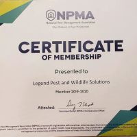 Legend Pest and Wildlife Solutions, LLC ico
