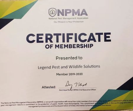 Legend Pest and Wildlife Solutions, LLC