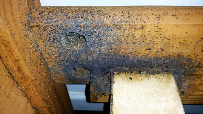 Himalaya Pest Control Picture 7