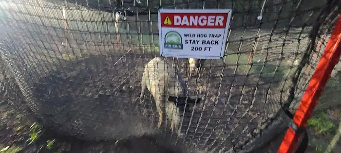 Xceptional Wildlife Removal Picture 7